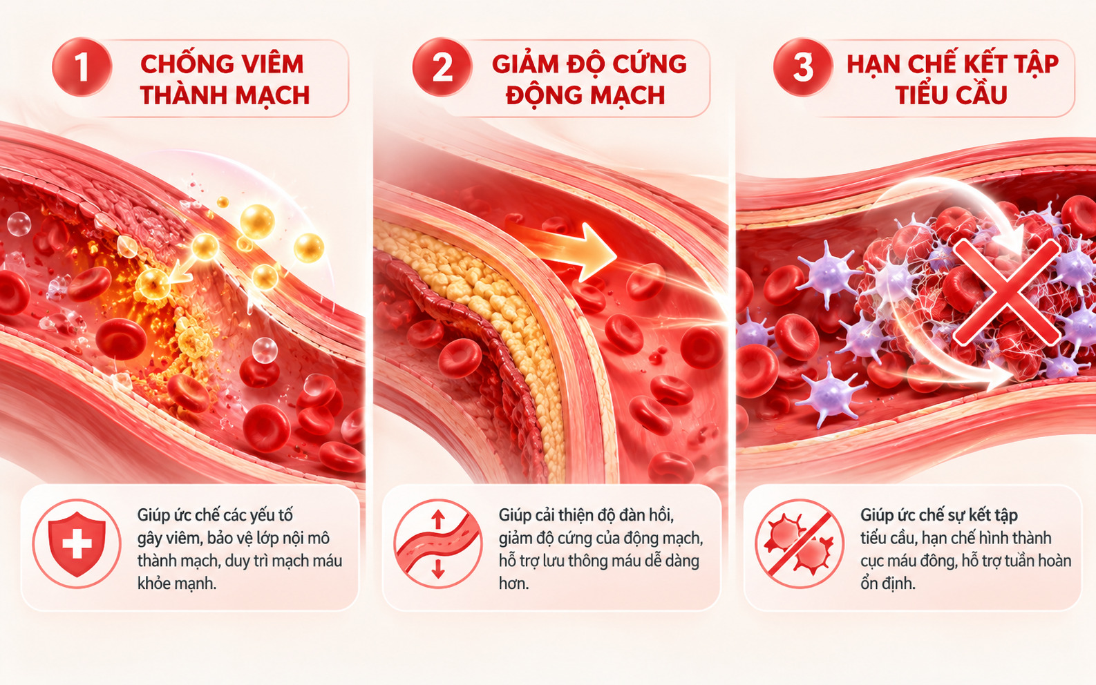 Sơ đồ mô phỏng 3 cơ chế: Chống viêm thành mạch - Giảm độ cứng động mạch - Hạn chế kết tập tiểu cầu.